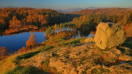 Serene Autumn Reflections in Nature’s Beauty wallpaper