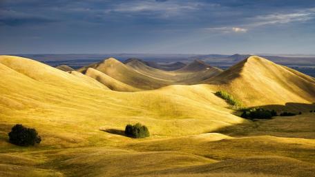Golden Rolling Hills Under a Dramatic Sky wallpaper