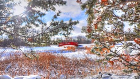 Winter Wonderland with a Red Bridge over Snowy Landscape wallpaper