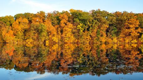 Autumn Serenity in Nature's Reflection wallpaper
