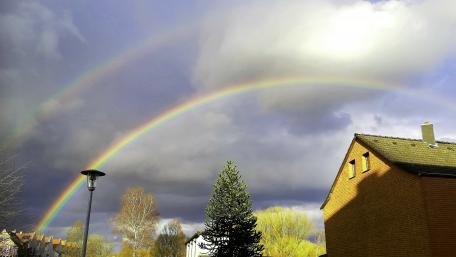 Rainbow in the city wallpaper