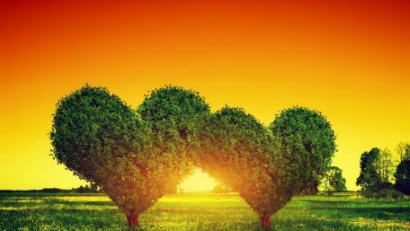 Heart-Shaped Trees Under a Sunset Sky wallpaper