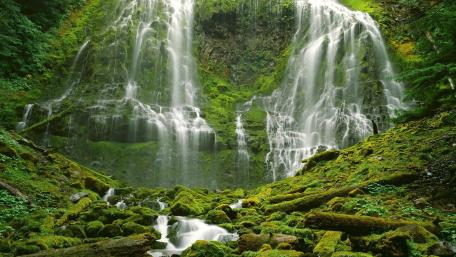 Tranquil Waterfall Surrounded by Lush Greenery wallpaper