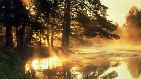 Golden Sunrise by the Riverside wallpaper