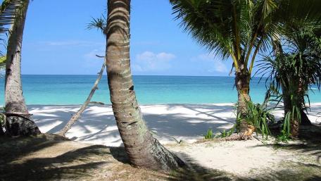 Tranquil Summer Beach Paradise wallpaper
