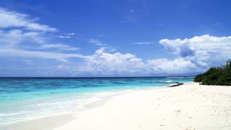 Serene Beach Under a Bright Blue Sky wallpaper