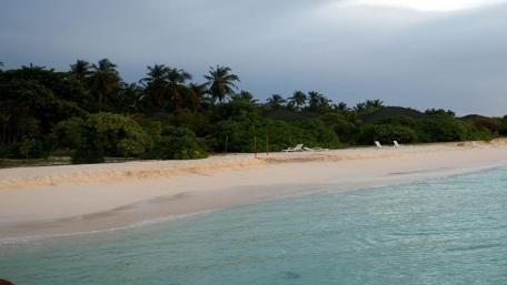 Tranquil Beach Escape with Lush Greenery wallpaper