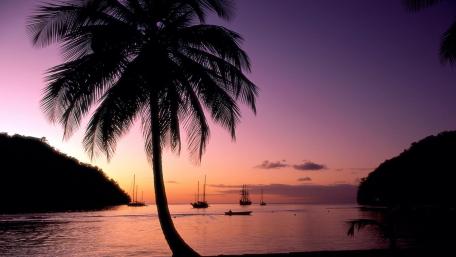 Purple Sunset Serenity wallpaper
