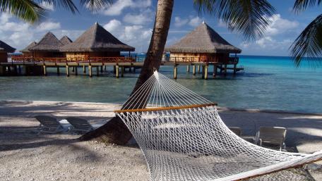 Tropical Serenity at a Beachside Haven wallpaper