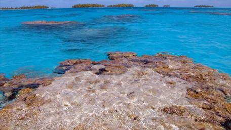 Serene Tropical Paradise Awaits You wallpaper