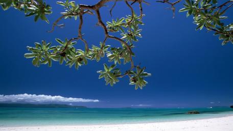 Serene Tropical Beach Escape wallpaper