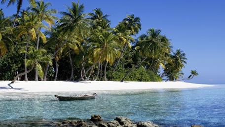 Tropical Paradise with Serene Waters and Lush Palms wallpaper