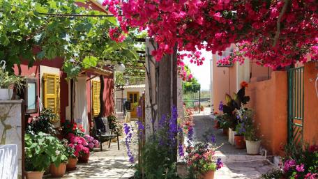 Charming Courtyard with Bougainvillea Blossoms wallpaper