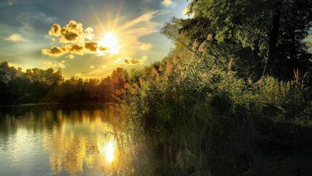 Golden Sunlight Over Tranquil Backwater Scene wallpaper