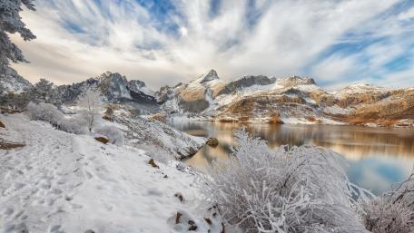 Winter's Tranquil Majesty in a Snowy Landscape wallpaper