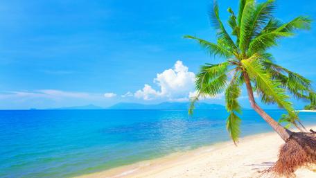 Sunny Escape by the Sea wallpaper