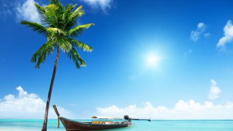 Tropical Serenity by the Sea wallpaper