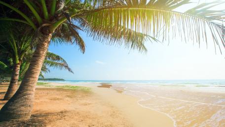 Tropical Beach Serenity Perfect for Summer Retreats wallpaper