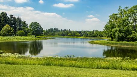 Tranquil Lakeside Serenity in Nature's Embrace wallpaper