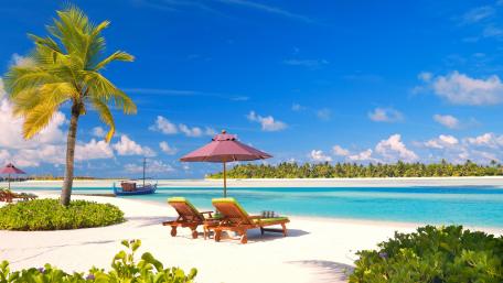 Tropical Paradise Escape with Sunbeds at the Beach wallpaper