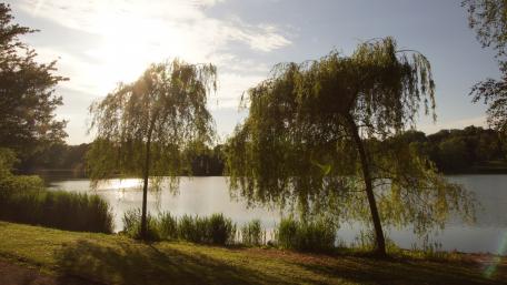 Rundgang am See wallpaper