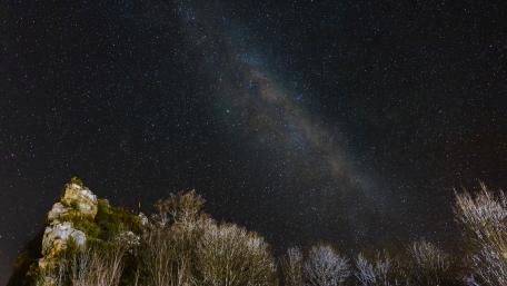 Starry Night Over Serene Wilderness wallpaper