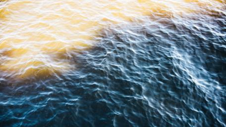 Serenity in Sunlit Waters wallpaper