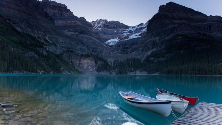 Serene Reflection at Lake O'Hara wallpaper