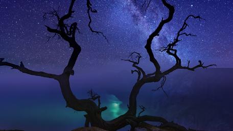 Enchanting Milky Way Over a Serene Landscape wallpaper