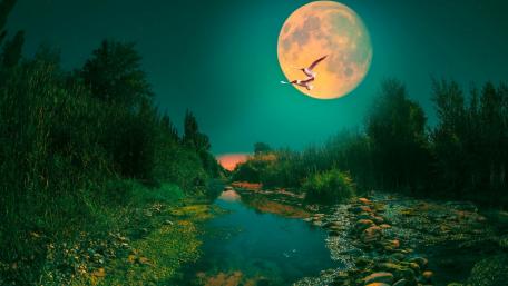 Enchanting Moonlit River Scene with Birds in Flight wallpaper