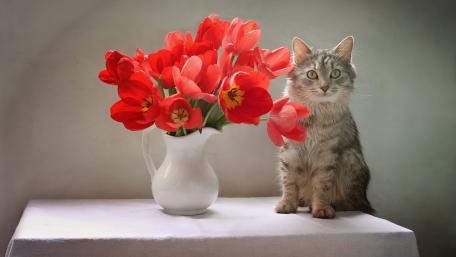 Whimsical Cat Among Vibrant Blooms wallpaper