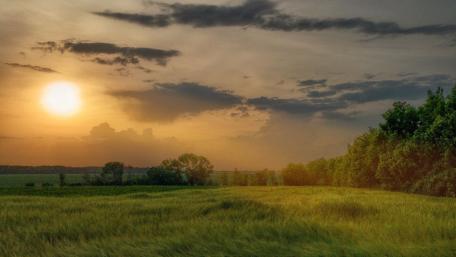 Golden Sunset Over Serene Fields wallpaper