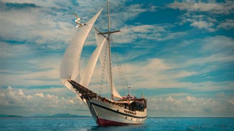 Majestic Tall Ship Sailing the Open Seas wallpaper
