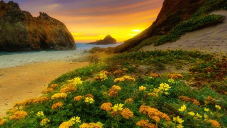 California sunset wallpaper