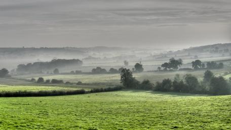 Misty Morning Serenity in the Fields wallpaper