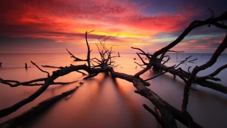 Burning Sunset Over Tranquil Waters wallpaper