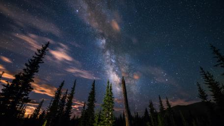 Celestial Symphony in Nature's Embrace wallpaper