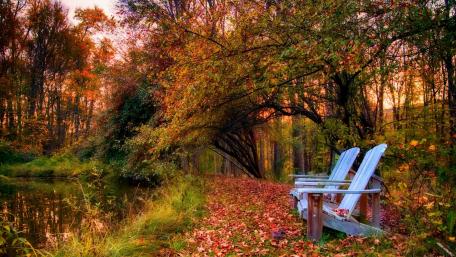 Autumn Tranquility by the Lakeside wallpaper