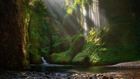 Sunlit Waterfall Sanctuary wallpaper