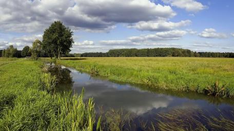 Serene Landscape of Green Fields and Calm Waters wallpaper