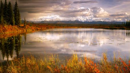 Serene Autumn Reflections in Nature's Embrace wallpaper