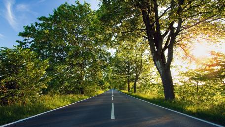Serene Spring Road in Nature's Embrace wallpaper