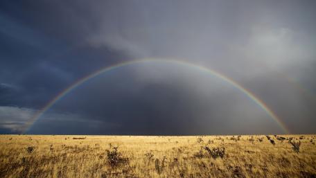 Vibrant Rainbow Over Golden Fields wallpaper