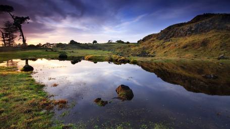 Tranquil Reflections in Nature's Embrace wallpaper