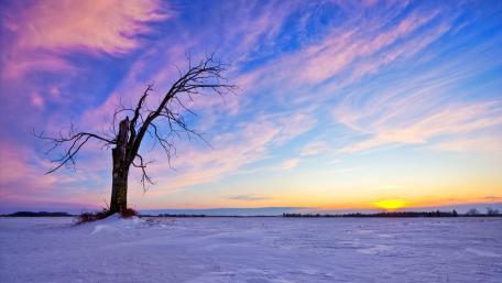 Silent Elegance of a Winter Sunset wallpaper