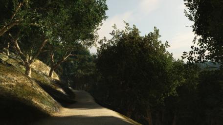 Serene Path Through Lush Greenery wallpaper