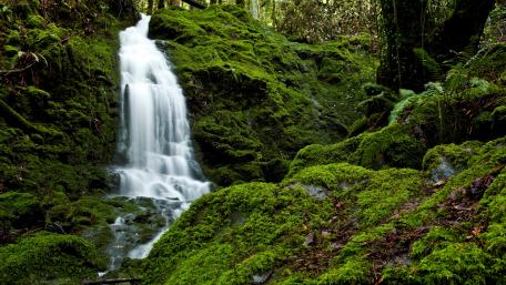 Serene Waterfall Amidst Lush Greenery wallpaper
