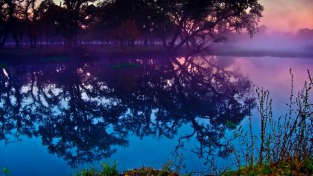 Serene Purple Reflections in Nature's Evening Light wallpaper