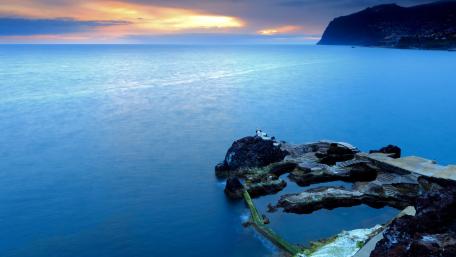 Tranquil Blue Horizons of Madeira Coastline wallpaper