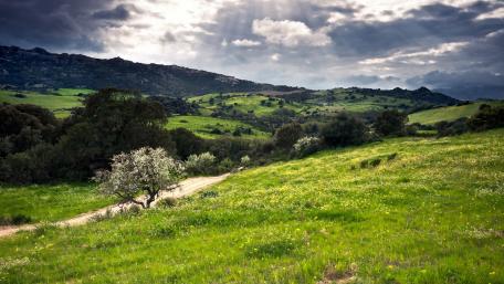 Serene Green Landscape Under Dramatic Clouds wallpaper